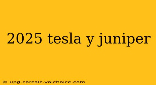 2025 tesla y juniper