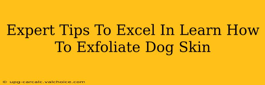 Expert Tips To Excel In Learn How To Exfoliate Dog Skin