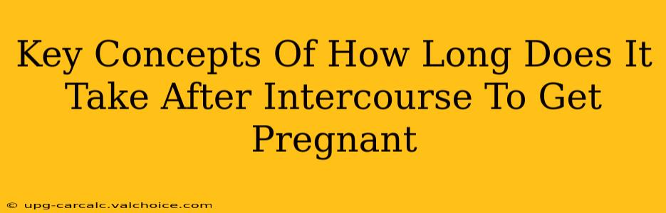 Key Concepts Of How Long Does It Take After Intercourse To Get Pregnant