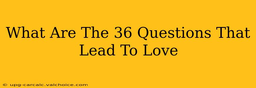 What Are The 36 Questions That Lead To Love