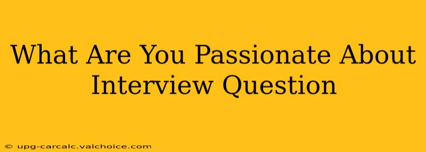 What Are You Passionate About Interview Question